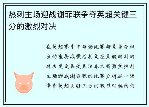 热刺主场迎战谢菲联争夺英超关键三分的激烈对决